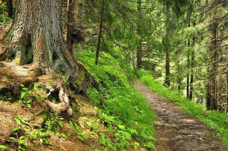 Brzegi — Białka Tatrzańska